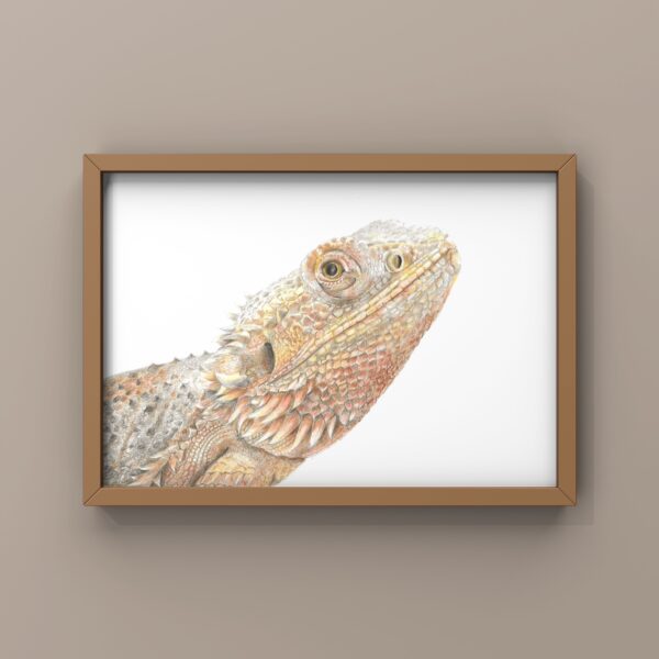 Bearded Dragon A4 print in brown frame on wall