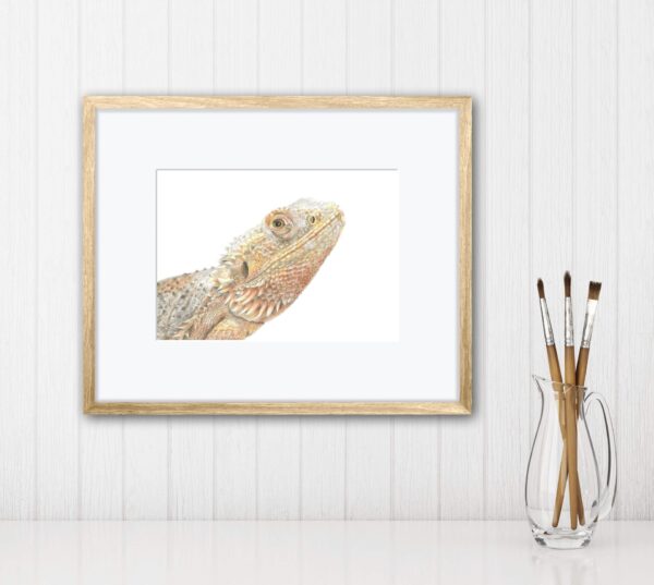 Bearded Dragon colour pencil print in wooden frame on wall