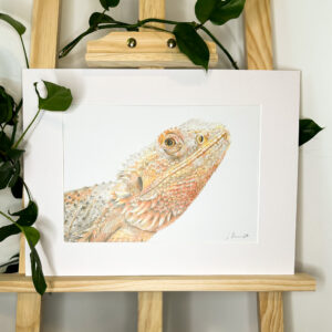 Bearded Dragon colour pencil drawing A4 print in white mount on Easel