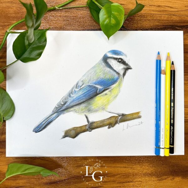 Blue tit A4 print displayed with leaves and coloured pencils