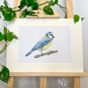 Colour Pencil A4 blue tit print mounted on easel with leaves