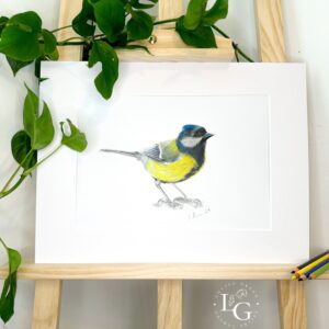 Great Tit A4 mounted print colour pencils on Easel with leaves