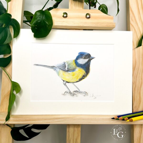 Great Tit original mounted artwork signed by artist