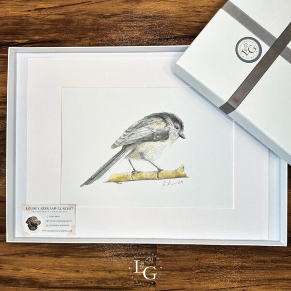 Long Tailed Tit Mounted A4 print in gift box