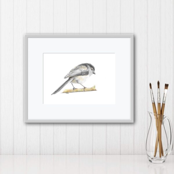 Long Tailed Tit colour pencil drawing Framed on wall