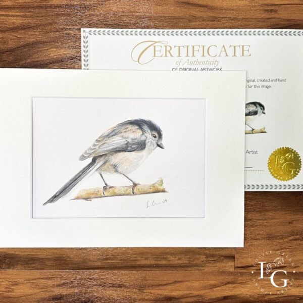 Long tailed Tit original colour pencil drawing. Mounted with certificate of authenticity