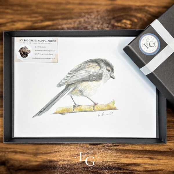 Long tailed Tit A4 print gift boxed