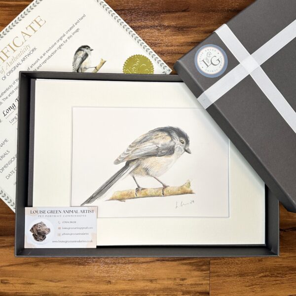 Long Tailed Tit colour pencil original artwork in gift box with certificate