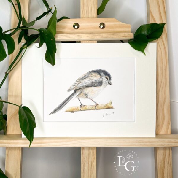 Long Tailed Tit original artwork mounted and displayed on easel