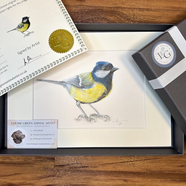 Great Tit original signed artwork with certificate in gift box