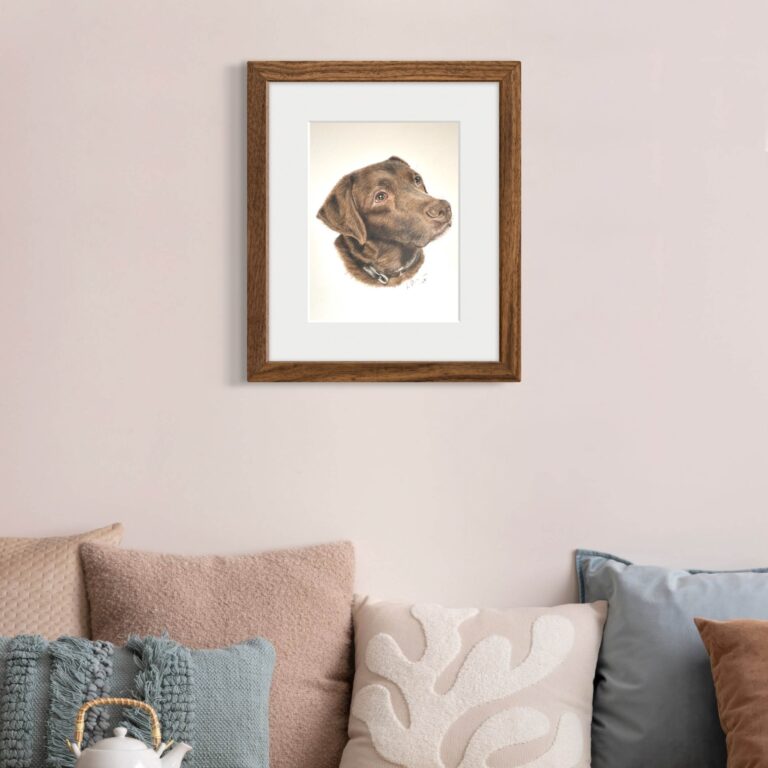 A4 chocolate Labrador pencil portrait framed on wall behind sofa