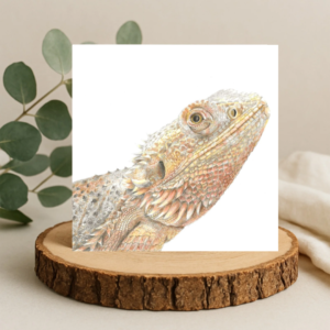 Colour pencil drawing of a bearded dragon lizard in orange colours. The drawing is the head and shoulders on a plain white background. Square greetings card on a log slice with leaves behind