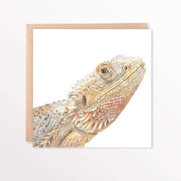 Bearded Dragon square card with colour pencil head and shoulder portrait of bearded dragon reptile