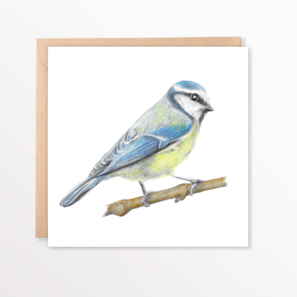 Blue tit greetings card by colour pencil artist on kraft brown envelope