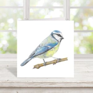 Blue tit greetings card from colour pencil artists drawing