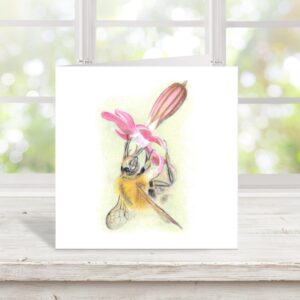 Bumblebee on campion wildflower square greetings card. Sat on table with window behind