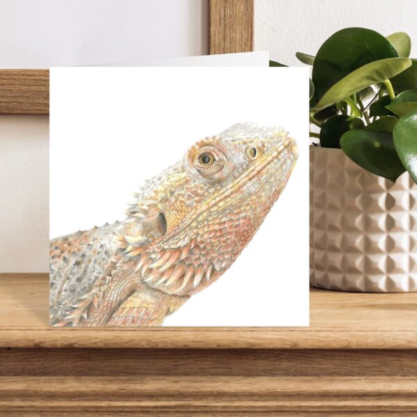 Bearded dragon greetings card. Colour pencil head and shoulder portrait in colour pencils. Square card