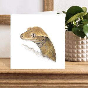 Crested gecko greetings card with colour pencil artwork. Square card