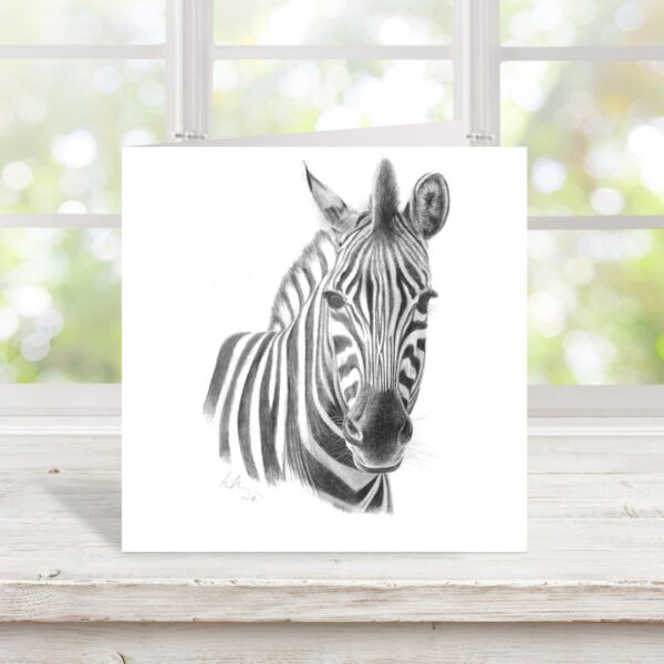 Chapmans Zebra Greetings Card. African Wildlife colour pencil art