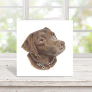 Chocolate Labrador colour pencil drawing on Square greetings card