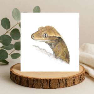 Colour pencil drawing of the head and shoulders of a crested gecko cute lizard. Drawn on a plain white background. Greetings card on a log slice with leaves behind.