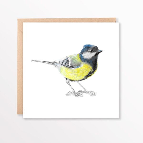 Great tit square card. colour pencil drawing greetings card of uk garden bird