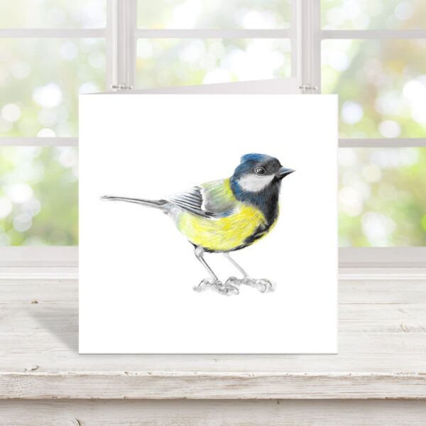 Great Tit colour pencil drawing on 6" x 6" square greetings card