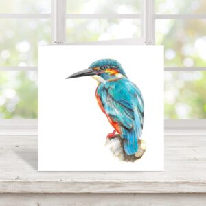 Kingfisher greetings card. Colour pencil kingfisher drawing on square card