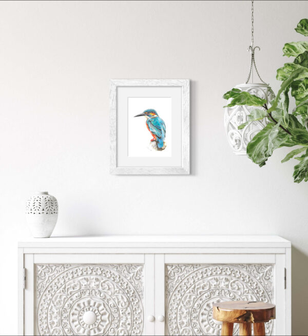 Kingfisher A4 print mounted in white frame on wall