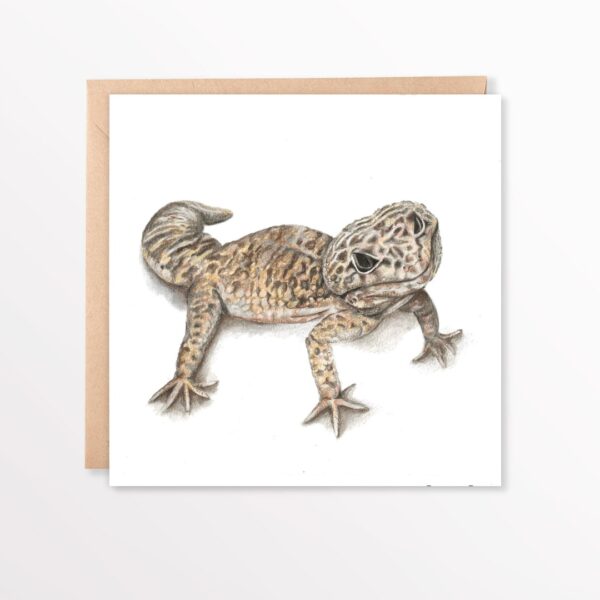 Leopard Gecko colour pencil art on greetings card. Square card with brown envelope