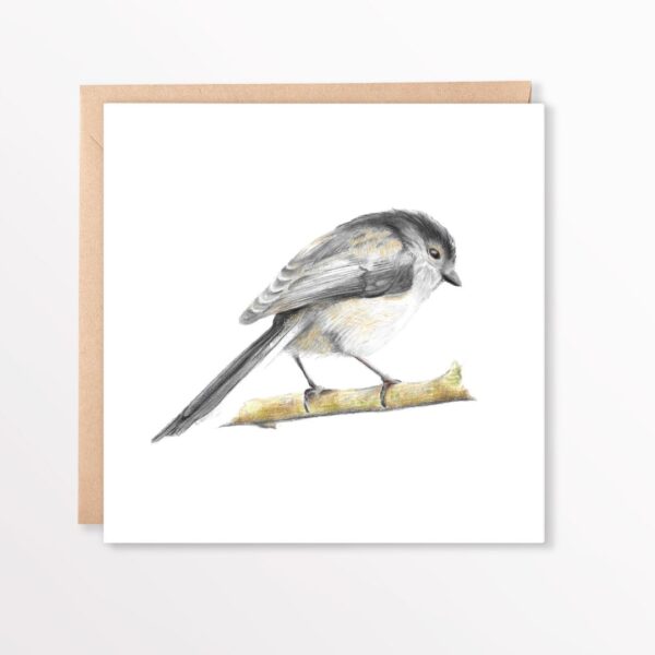 Colour pencil long tailed tit. Bird square greetings card with kraft brown envelope