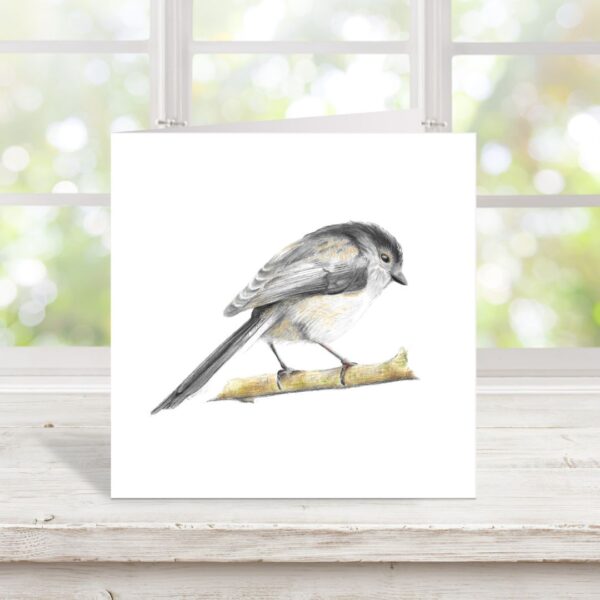 Colour pencil Long Tailed Tit greetings card in front of window