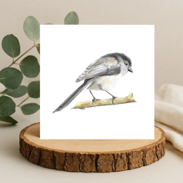 Colour pencil drawing of a long tailed tit. A small beige and grey bird with a long tail. The bird is on a plain white background on a square greetings card. The card is sat on a log slice with leaves behind.