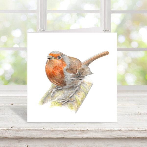 Robin colour pencil bird drawing printed onto square card.