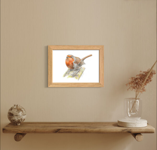 Robin A4 colour pencil print framed with no mount on wall