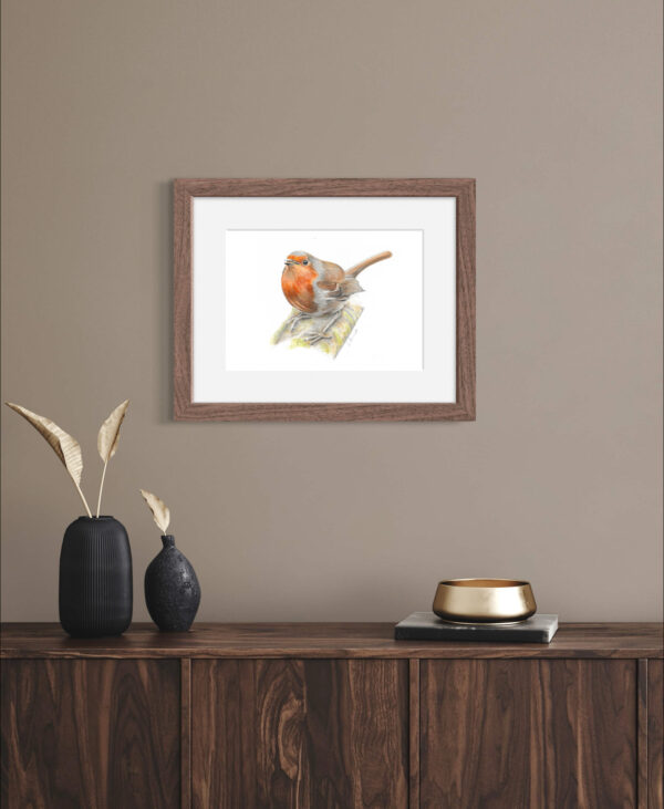 Robin A4 colour pencil print mounted in frame in room