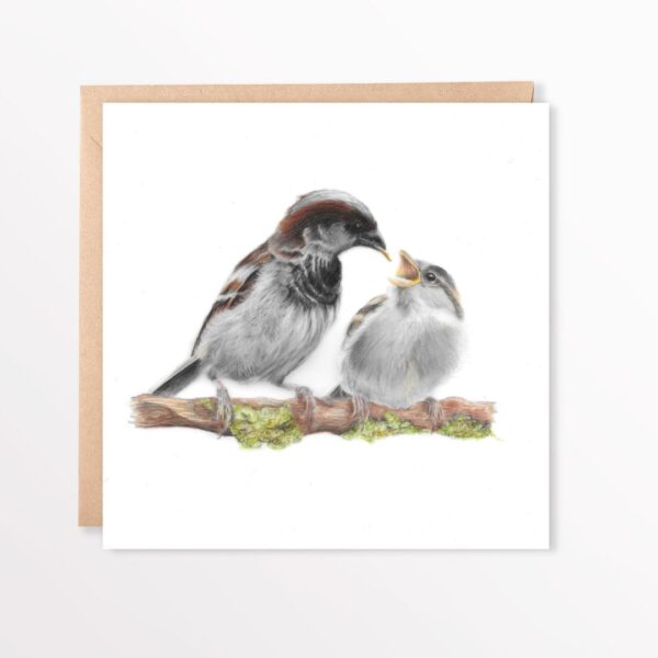 Sparrow and young colour pencil drawing printed on square greetings card with kraft brown envelope