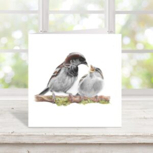 Sparrow and young colour pencil drawing printed on square greetings card