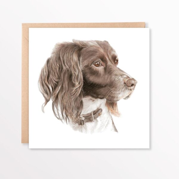 Springer Spaniel colour pencil drawing square greetings card with kraft brown envelope