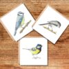 Set of 3 square greetings cards with colour pencil bird artwork. Blue Tit, Great Tit and Long Tailed Tit drawings