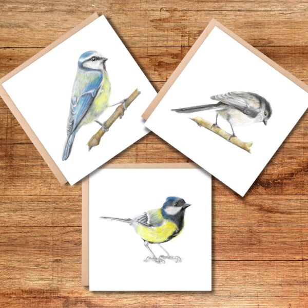 Set of 3 square greetings cards with colour pencil bird artwork. Blue Tit, Great Tit and Long Tailed Tit drawings