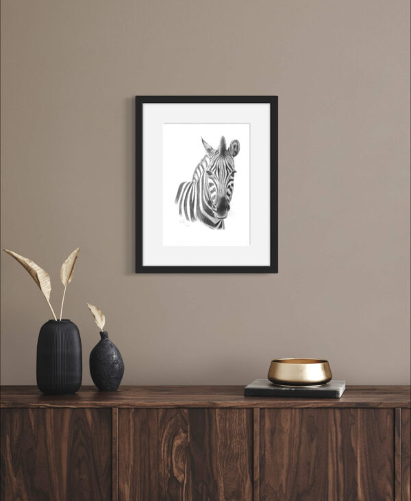 Chapmans Zebra Colour pencil drawing. A4 print framed with white mount