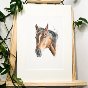 Tyler horse original colour pencil portrait on pastelmat on easel