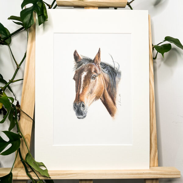 Tyler horse original colour pencil portrait on pastelmat on easel