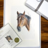Tyler horse original colour pencil drawing on pastelmat. mounted in gift box