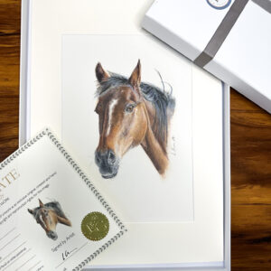 Tyler horse original colour pencil drawing on pastelmat. mounted in gift box