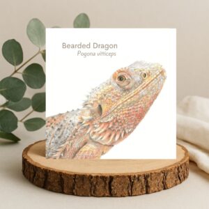 Bearded Dragon colour pencil drawing with Bearded dragon and the latin name printed above. The drawing is on a plain white background on a square greetings card. The Card is on a log slice with leaves behind