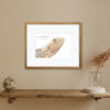 Bearded Dragon colour pencil drawing by reptile artist. A4 print with Bearded dragon and Latin name Pogona vitticeps added. Mounted in a wooden frame against a tan coloured wall with wooden shelf below picture