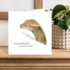 Crested Gecko colour pencil drawing printed onto white square card. Latin scientific name for the gecko is also included on the card