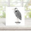 Grey Heron colour pencil drawing by UK wildlife artist on square white card